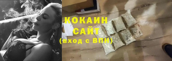 гидра Алексин