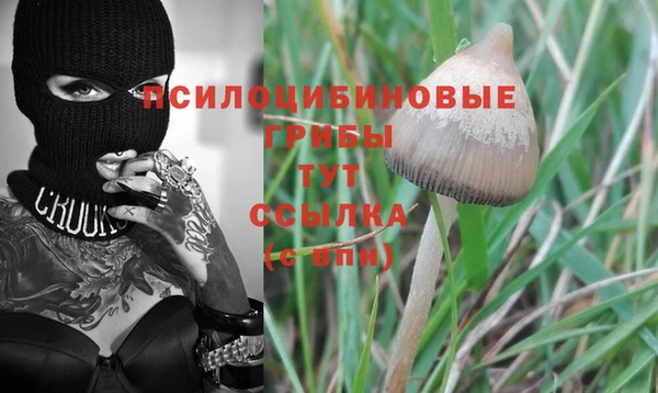 ALPHA-PVP Абинск