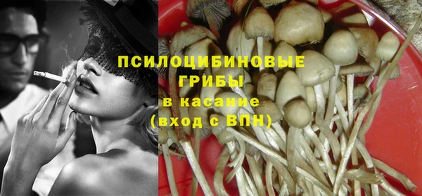 хмурый Нея
