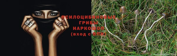ALPHA-PVP Абинск