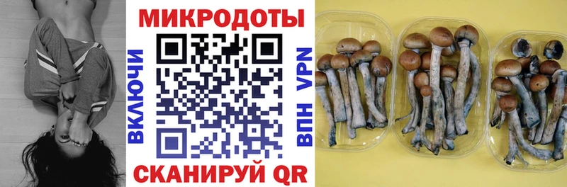 Псилоцибиновые грибы мицелий  Александровск 